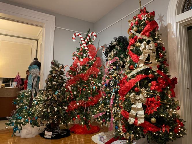 Festival of Trees KK 11-21-19.jpeg