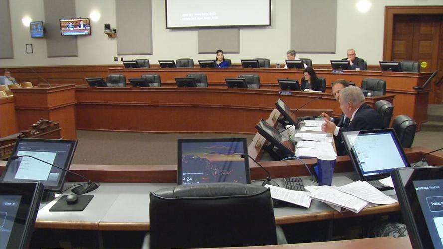 Metro Council