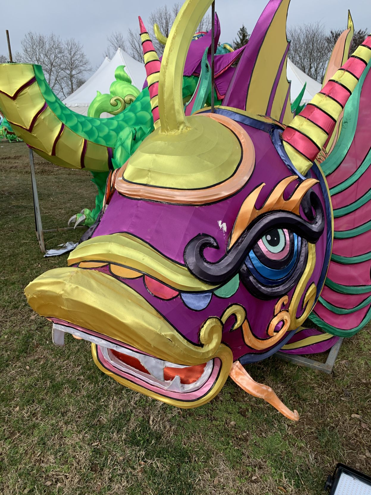Asian Lantern Festival (dragon 3).jpg