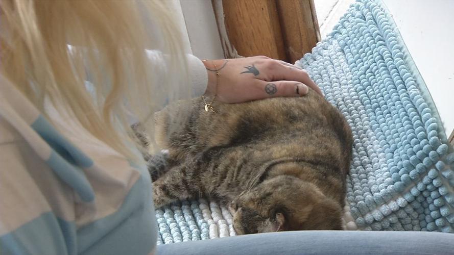 raw CAT CAFE MOTHER'S DAY concatenated 171537_frame_36737.jpg