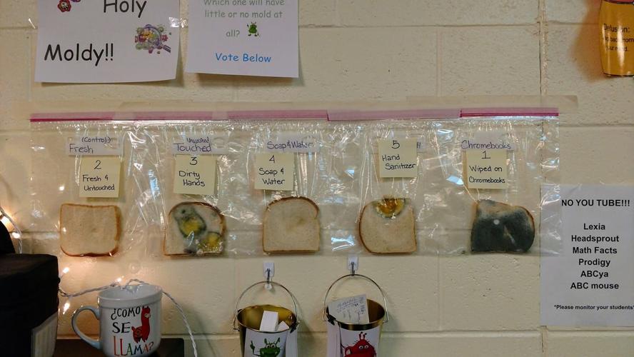 IDAHO - HAND WASHING EXPERIMENT - COURTESY JARALEE ANNICE METCALF ON FACEBOOK.jpg
