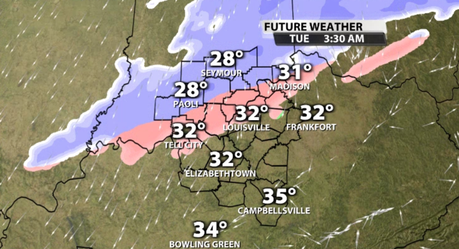 Screen Shot 2021-02-08 at 8.02.53 AM.png