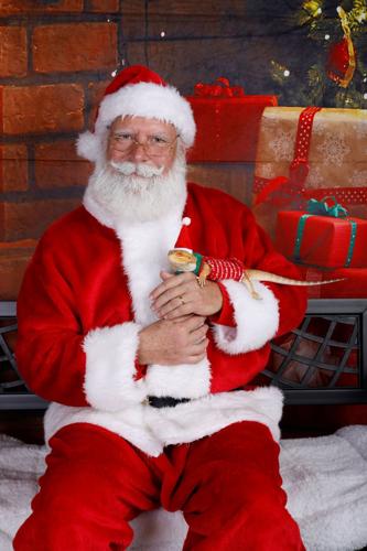 Picture Your Pet with Santa
