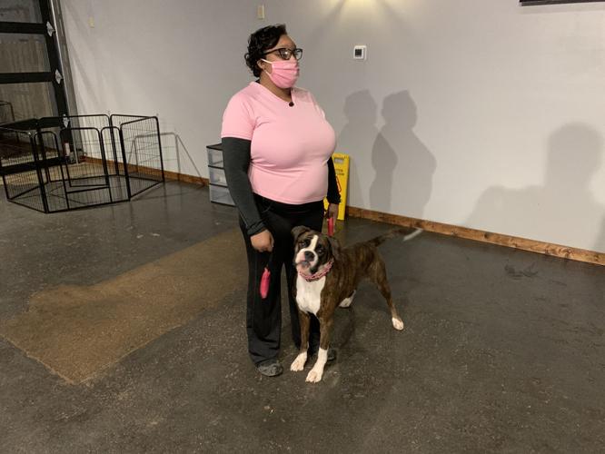 EVOLUTION DOG TRAINING - AKKY - 1-27-2021  (1).JPG