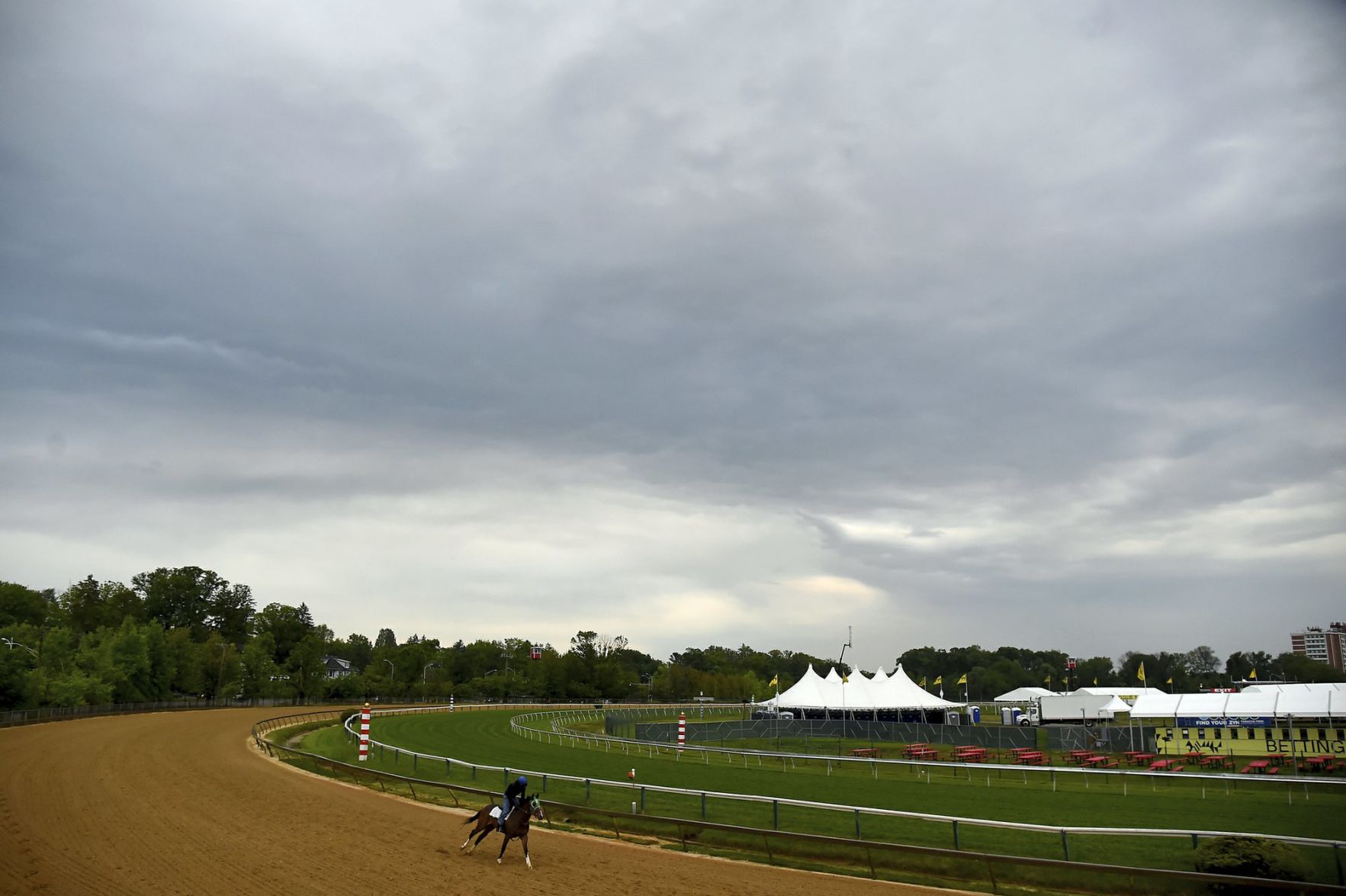 A horse exercises Thursday at Pimlico Race Course