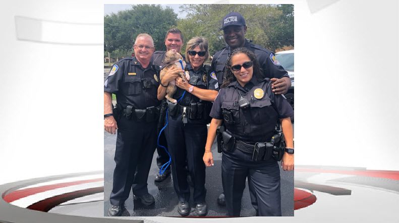 Fort Pierce Police Rescue Puppies