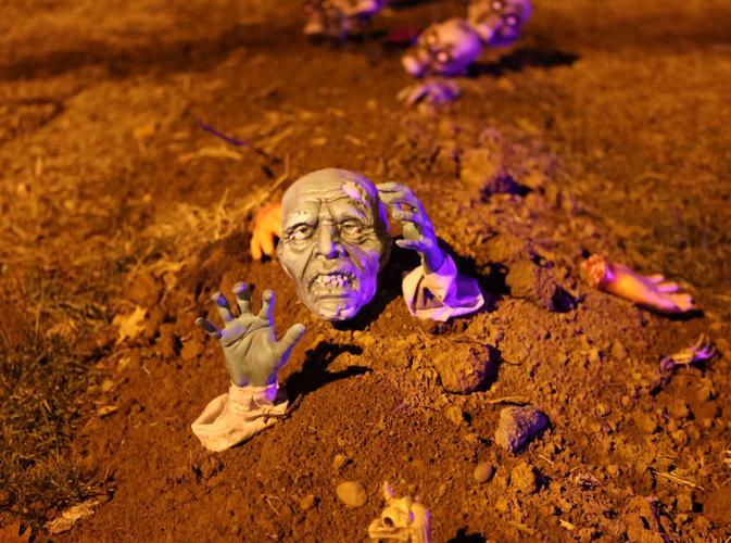 Head on yard at Hillcrest Avenue.JPG