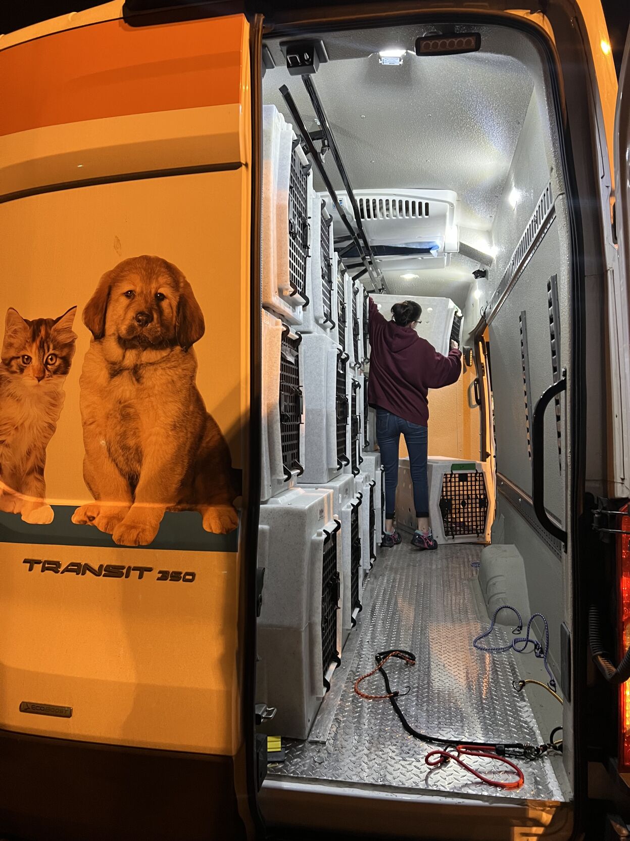 Crystal_Springs_MS_Rescue_0418.JPG