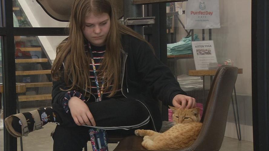 raw CAT CAFE MOTHER'S DAY concatenated 171537_frame_38358.jpg