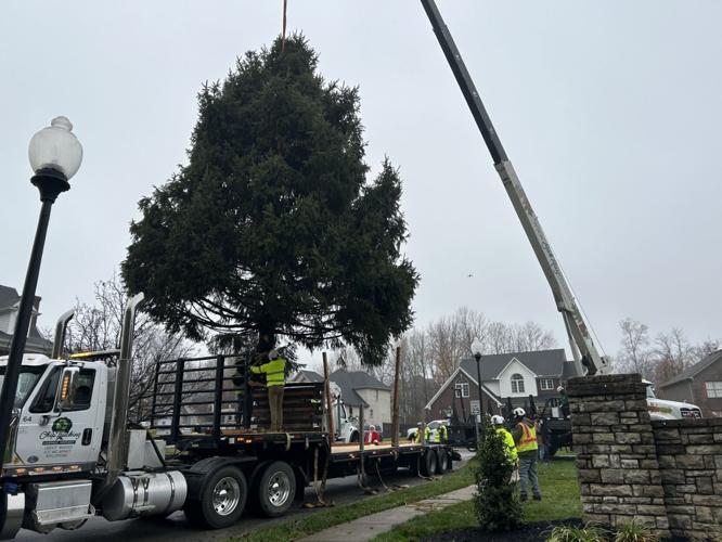 LIGHT UP LOUISVILLE TREE ARRIVES 4.jpg