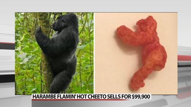 Flamin Hot Cheeto Shaped Like Harambe Sells For Nearly 100 000 Morning Wdrb Com Somebody found a flamin' hot cheeto that looked like harambe (the deceased gorilla who's so beloved. flamin hot cheeto shaped like harambe