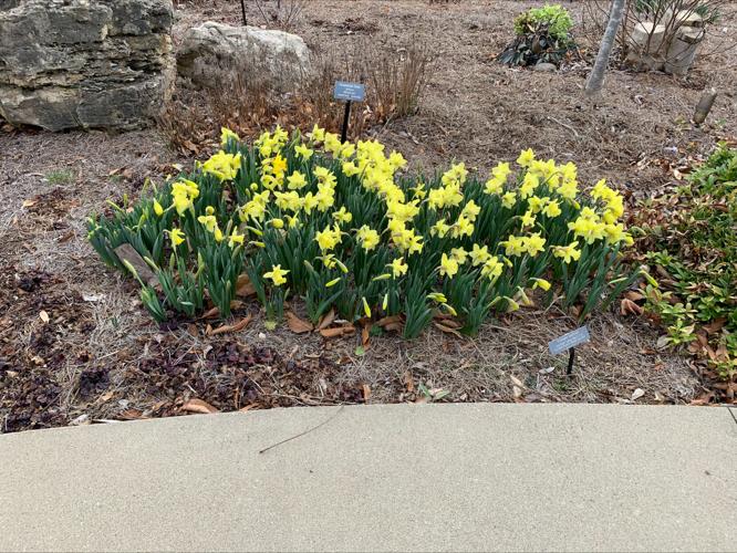 Yew Dell Botanical Gardens