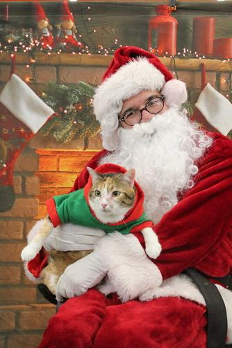Picture Your Pet with Santa
