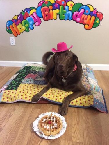 PET DAY - MISS NALA - BRENDA RAMBARRAN.jpg