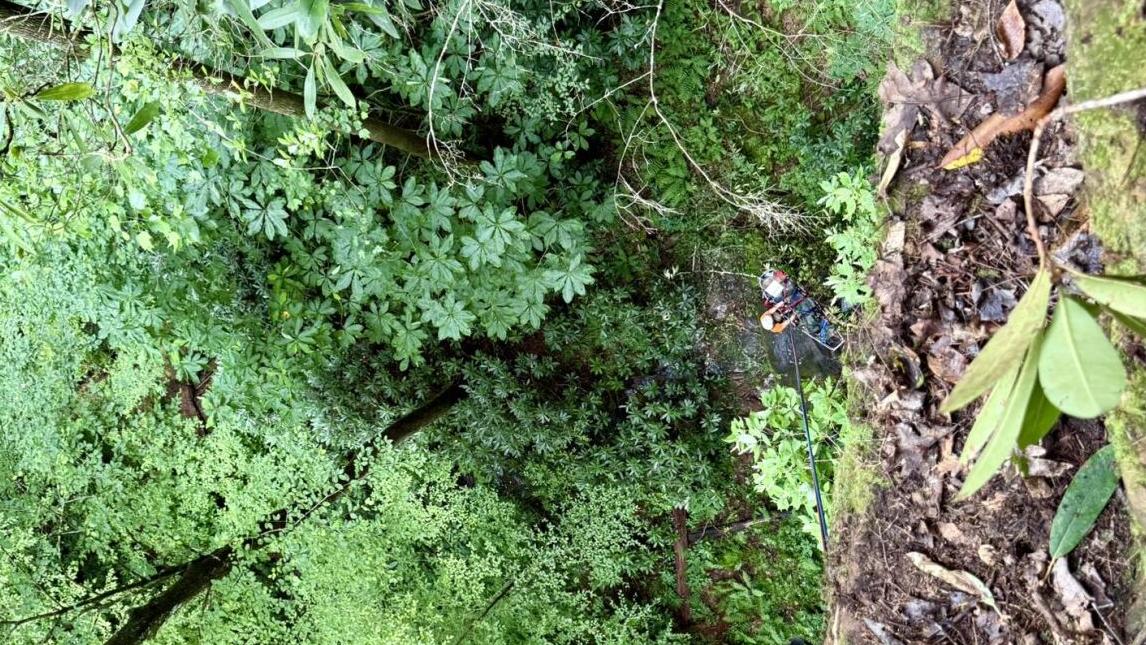 WOLFE CO. CLIFF RESCUE 7 - 7.21.25