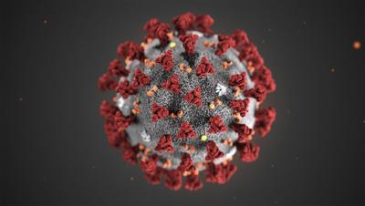 This illustration provided by the Centers for Disease Control and Prevention in January 2020 shows the 2019 Novel Coronavirus