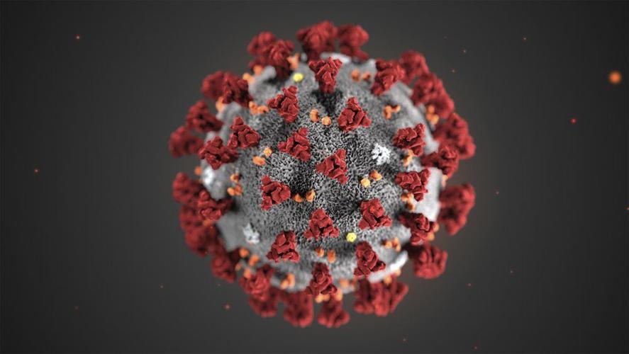 This illustration provided by the Centers for Disease Control and Prevention in January 2020 shows the 2019 Novel Coronavirus
