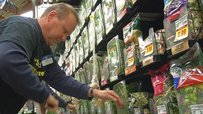 Kroger employee rifling through salads (generic)