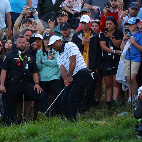 Tiger Woods chips onto 18th green.JPG