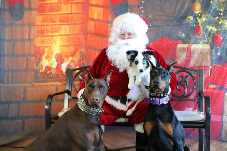 Picture Your Pet with Santa