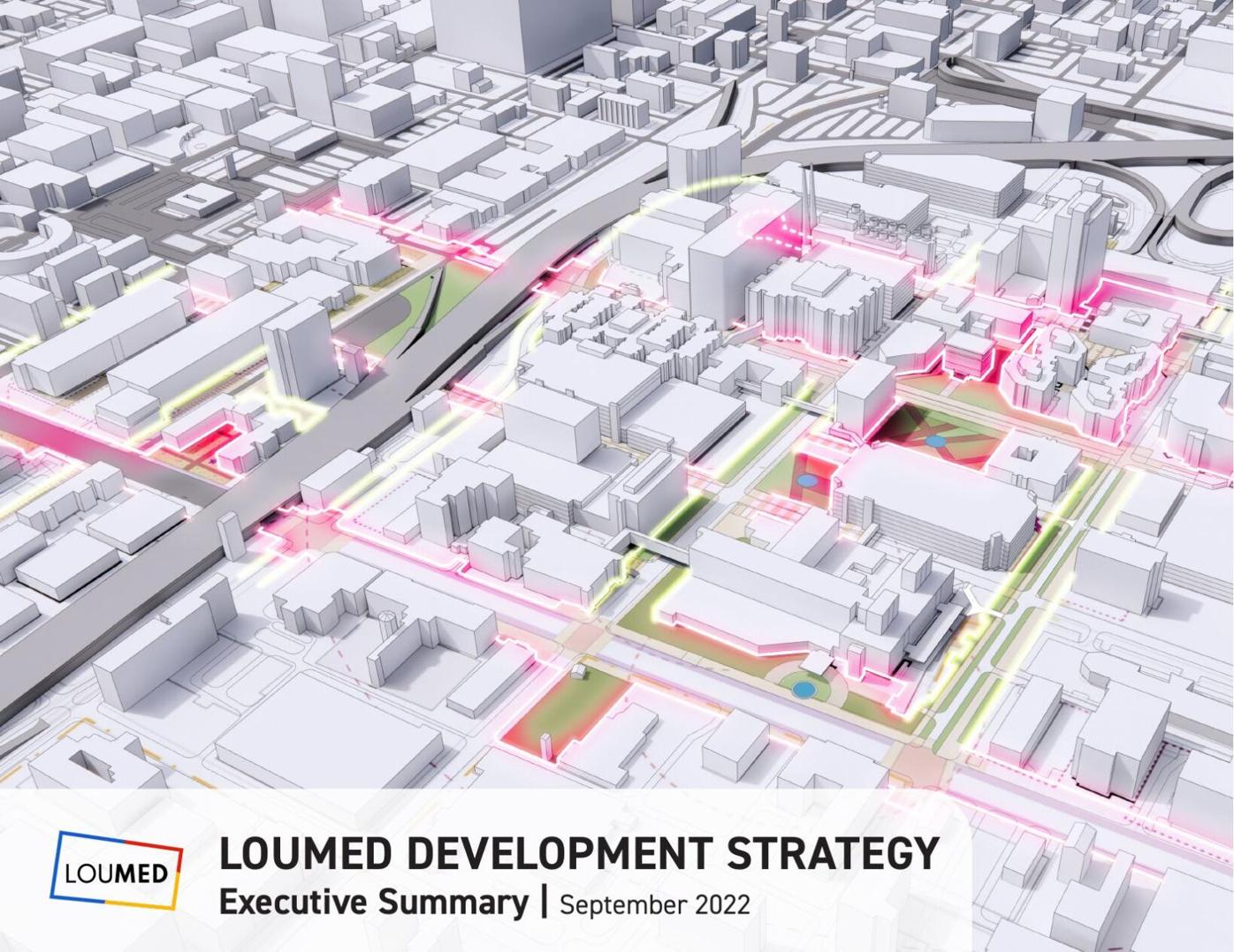 LOUMED Development Strategy
