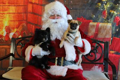Picture Your Pet with Santa