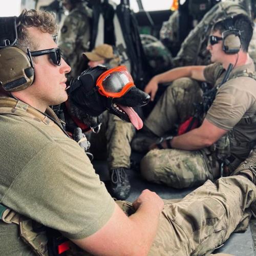 Kentucky Air National Guard Search and Rescue K-9 Callie Eastern KY Pic.jpg