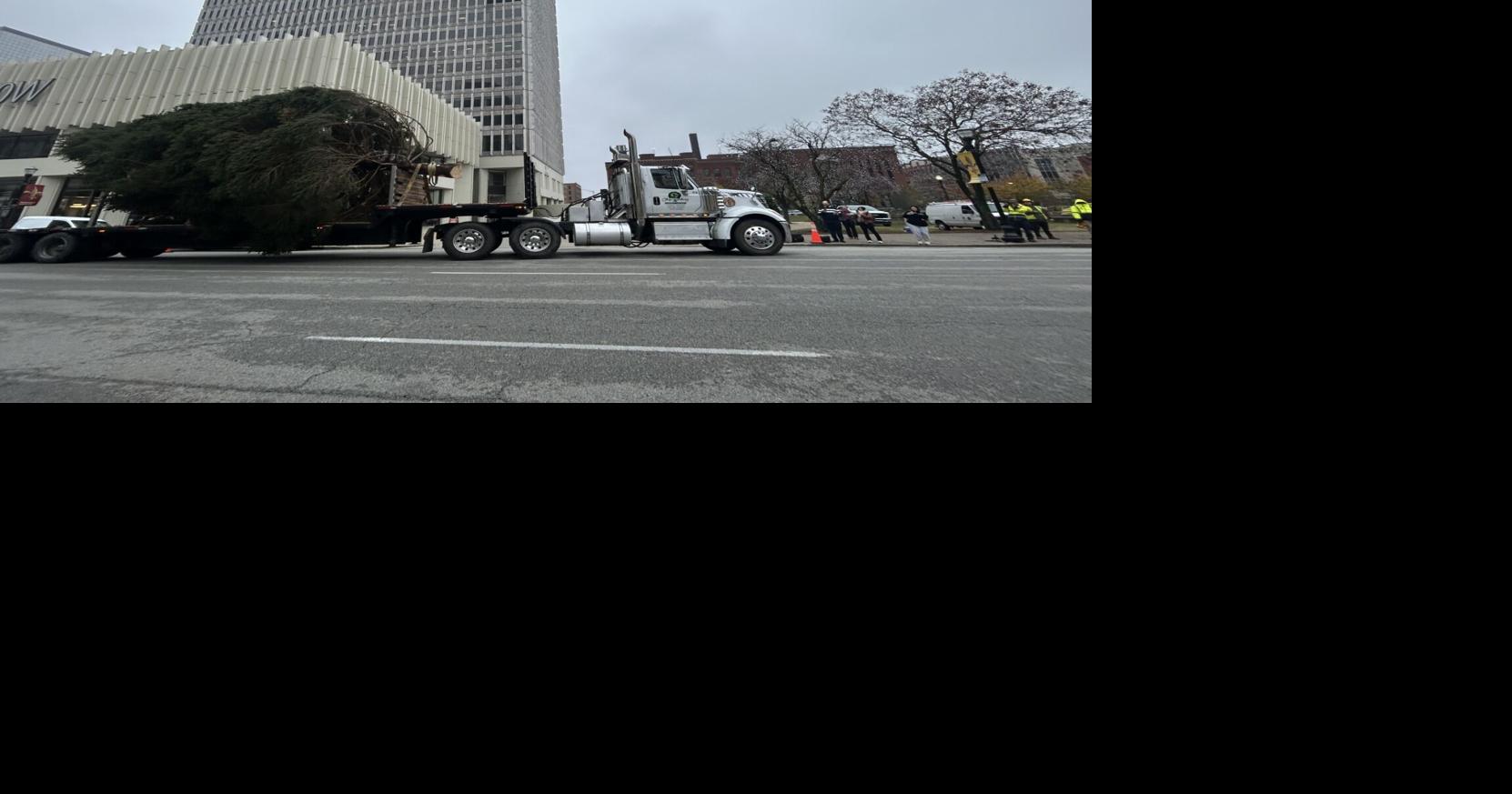 Massive Christmas tree arrives downtown ahead of Light Up Louisville ...