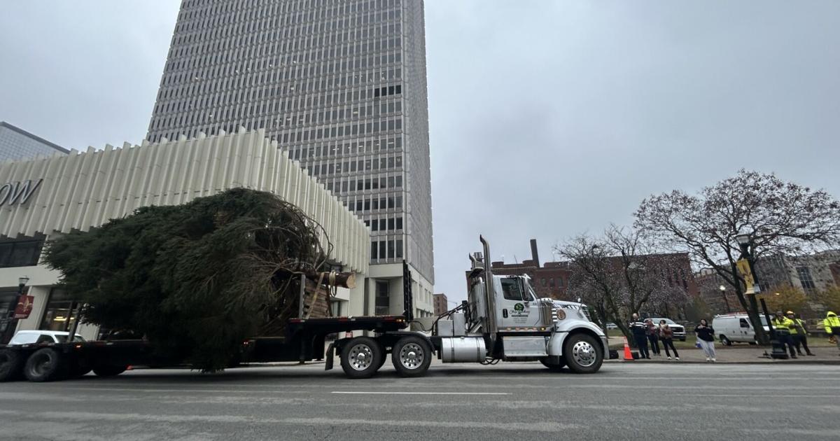 Wdrb Exploding Tree Massive Christmas tree arrives downtown ahead of Light Up Louisville ...