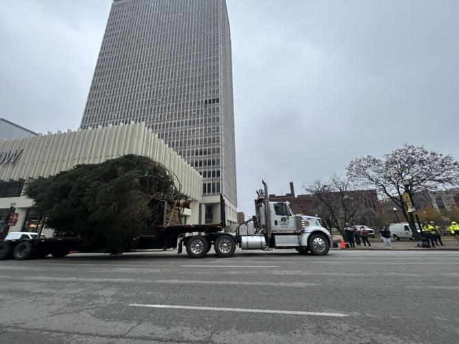 LIGHT UP LOUISVILLE TREE ARRIVES 2.jpg