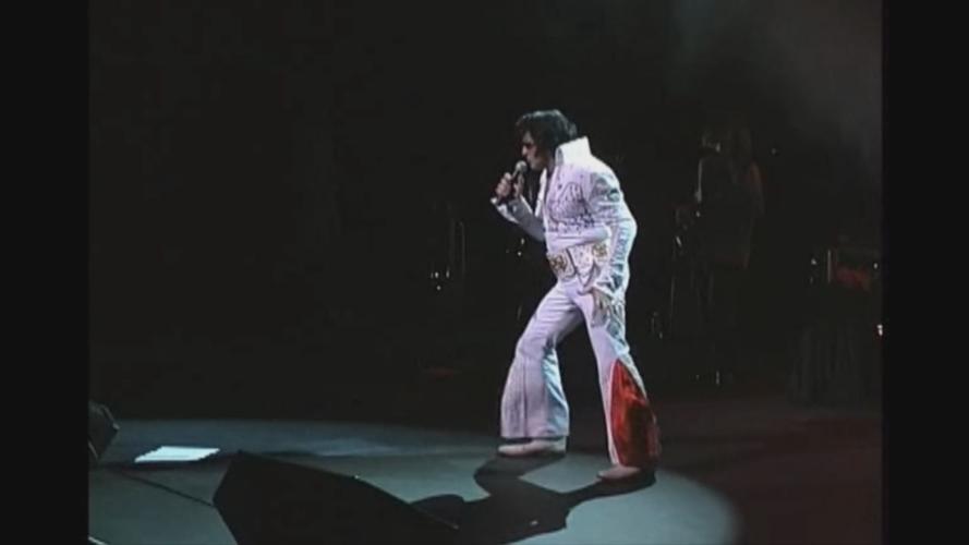 Samu as Elvis 3.jpg