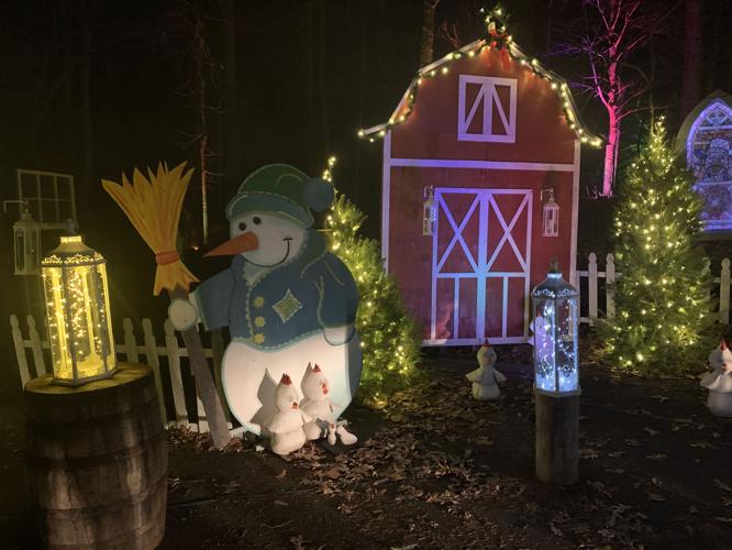 Winter Woods Spectacular (15).JPG