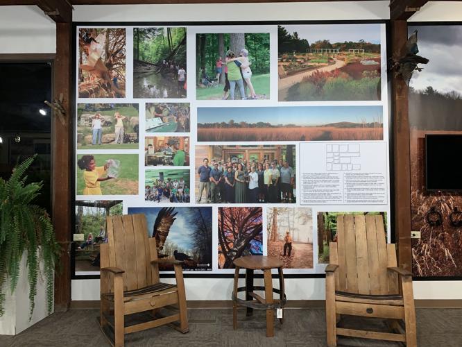 ColorFest at Bernheim Forest - Collage Display.jpeg