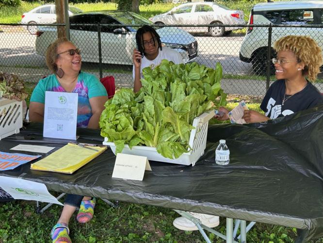 Lettuce at West End Farmers Market - May 18, 2025.jpg
