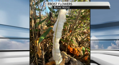 Screenshot 2023-11-01 at 4.39.15 PM.png