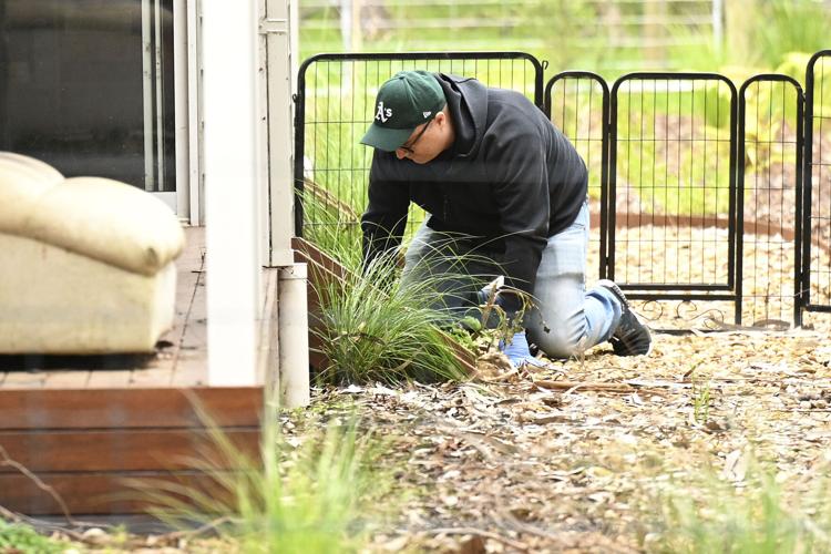 Australia Mushroom Poisoning