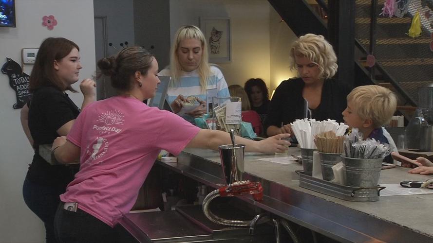 raw CAT CAFE MOTHER'S DAY COUNTER 5-12-19.jpg