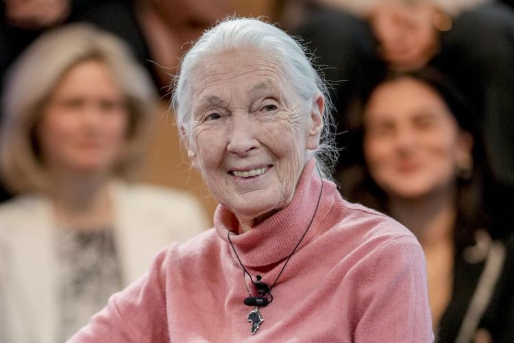 Jane Goodall
