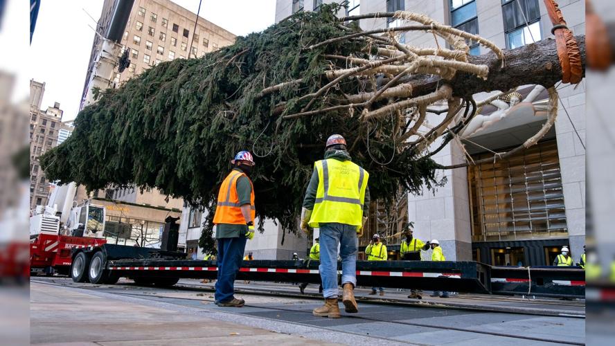 Rockefeller Christmas Tree
