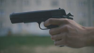 Gun