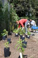 Louisville Zoo Butterfly Exhibit