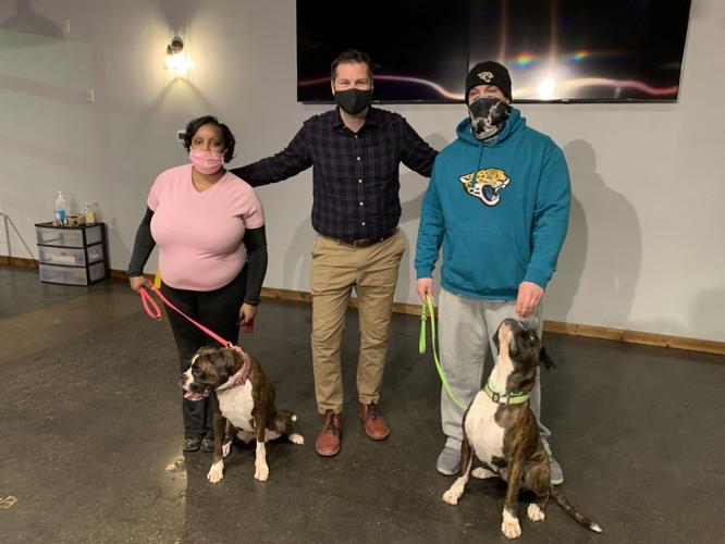 EVOLUTION DOG TRAINING - AKKY - 1-27-2021  (3).JPG