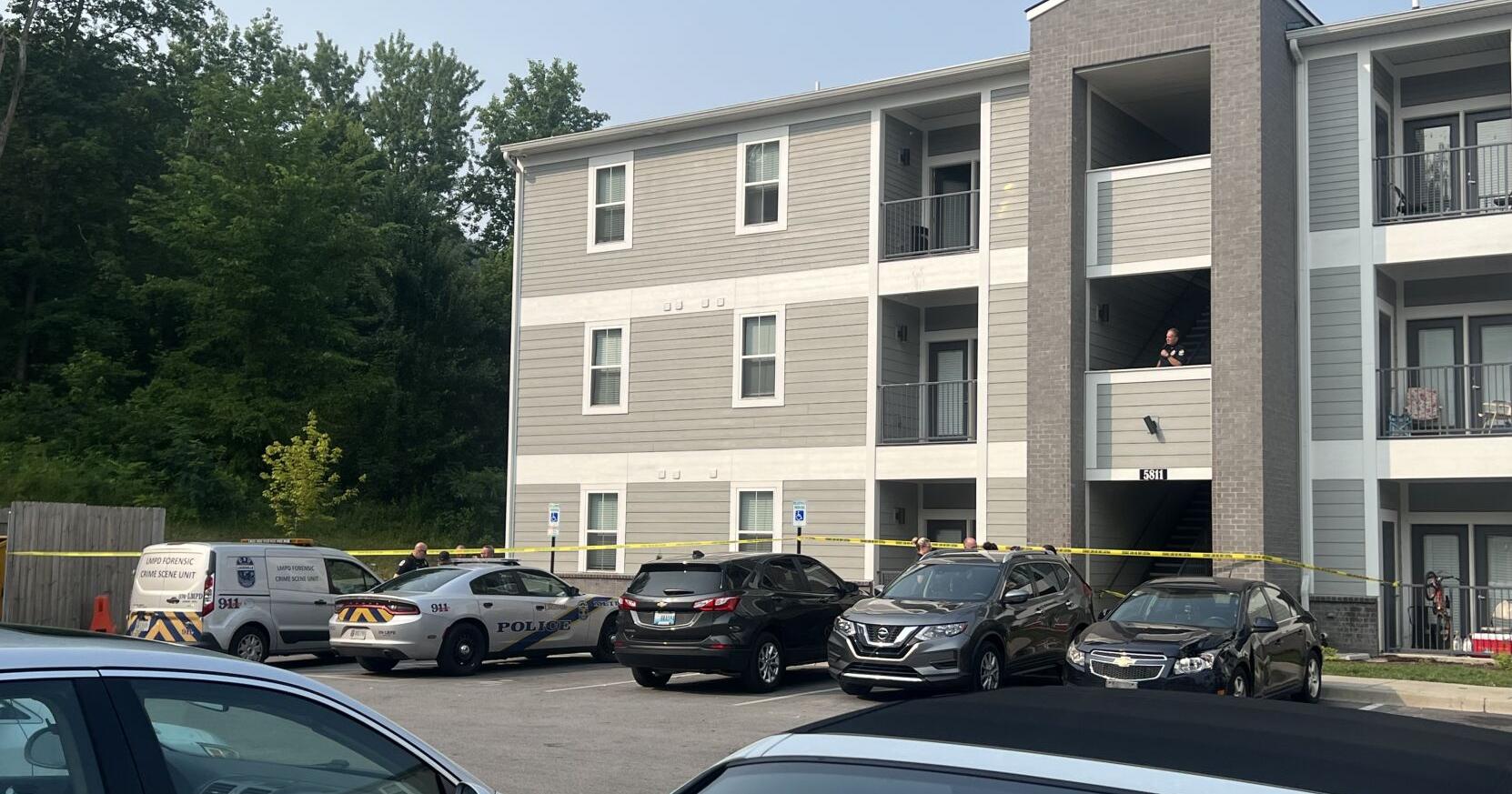 6-year-old boy expected to recover after being stabbed by a relative in south Louisville - Vimarsana News