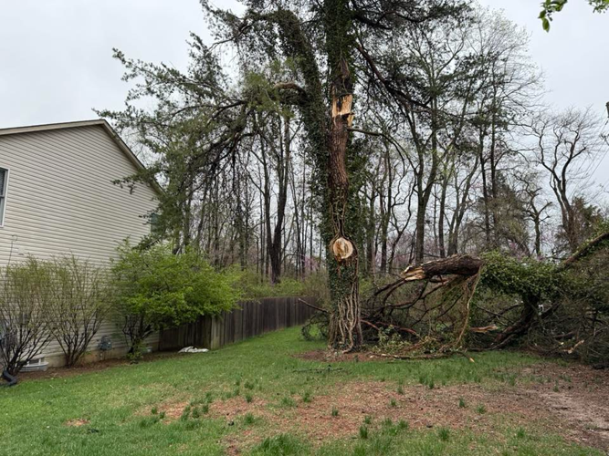 Storm damage in Okolona