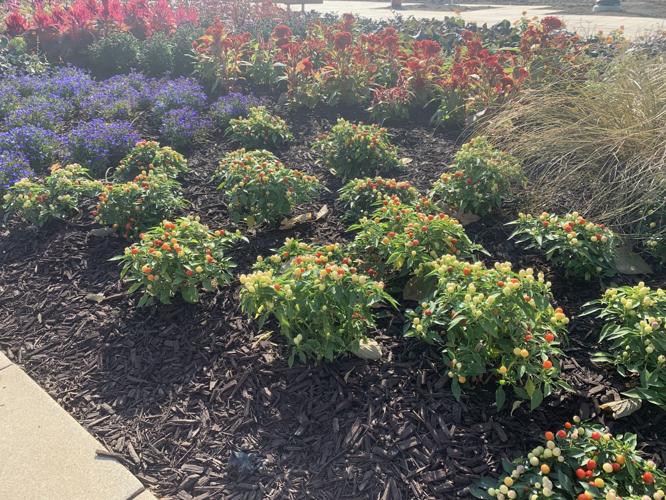 WATERFRONT BOTANICAL GARDENS - PREVIEW 10-1-19 (6).jpg