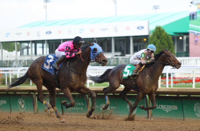 Horses closes at final stretch.JPG