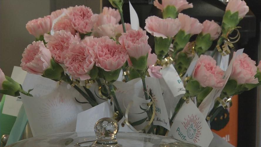 raw CAT CAFE MOTHER'S DAY FLOWERS 5-12-19.jpg