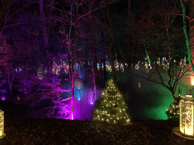 Winter Woods Spectacular (16).JPG