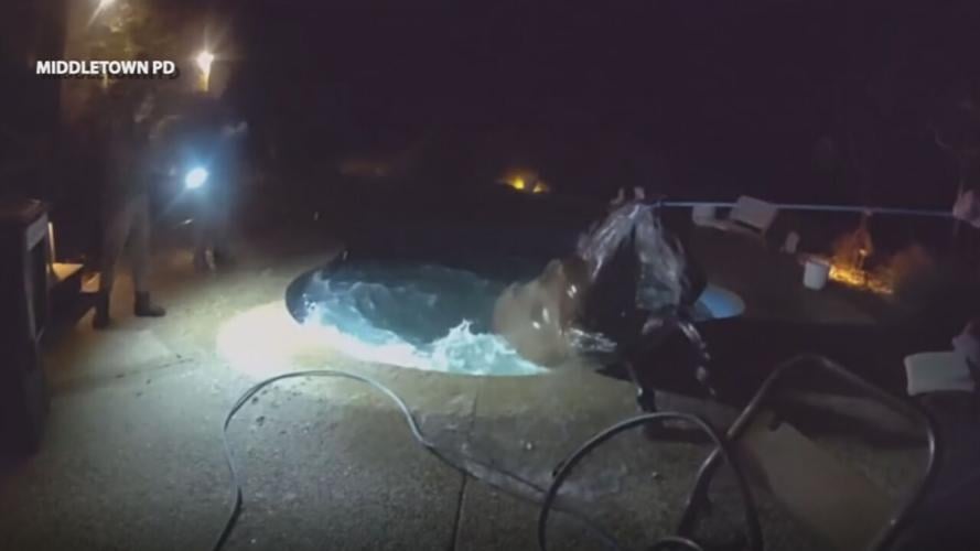 Middletown horse rescue body cam