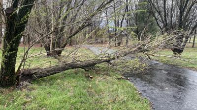 STORM - DAMAGE - MT WASHINGTON - DAKOTA SHEREK - 3-3-2023.jpg